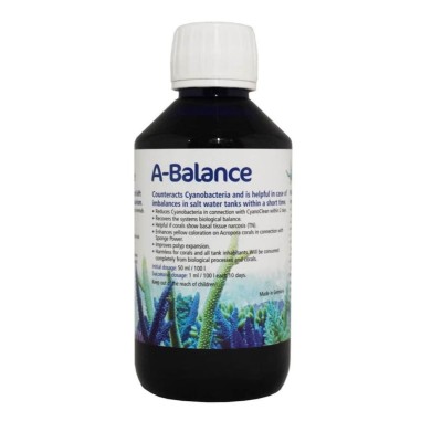 Korallen-Zucht Pohl's A-Balance