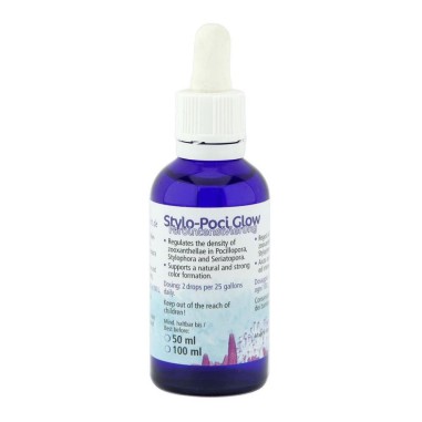 Korallen-Zucht Stylo Pocci Glow
