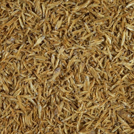 Tetra Anchovies 1000ml/150gr - Acciughe per Tartarughe Acquatiche Tetra Anchovies 1000ml/150gr - Acciughe per Tartarughe Acquatiche
