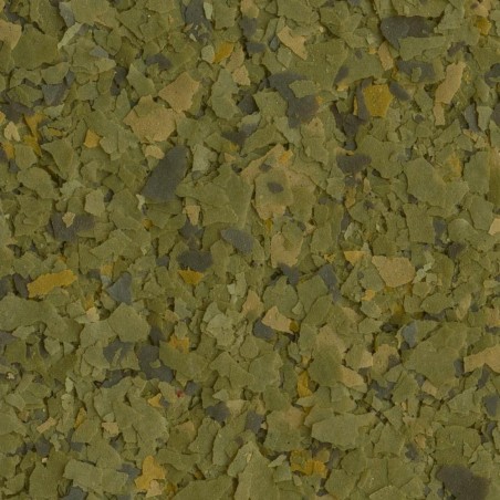 Tetra Phyll - Mangime in fiocchi a Base Vegetale Tetra Phyll - Mangime in fiocchi a Base Vegetale