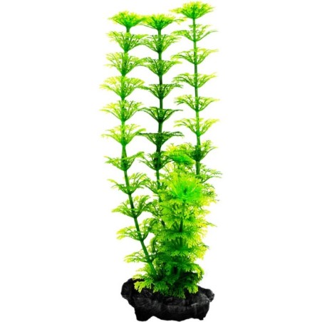 Tetra Pianta Decorativa in Plastica Modello Ambulia (Limnophila Heterophylla) Tetra Pianta Decorativa in Plastica Modello Ambulia (Limnophila Heterophylla)