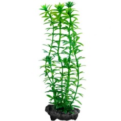 Tetra Pianta Decorativa in Plastica Modello Anacharis (Egeria Densa) 2