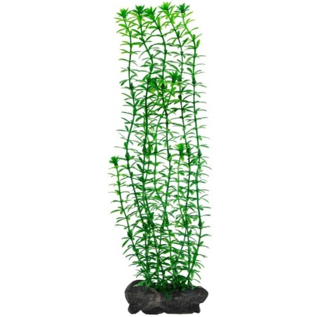 Tetra Pianta Decorativa in Plastica Modello Anacharis (Egeria Densa) Tetra Pianta Decorativa in Plastica Modello Anacharis (Egeria Densa)