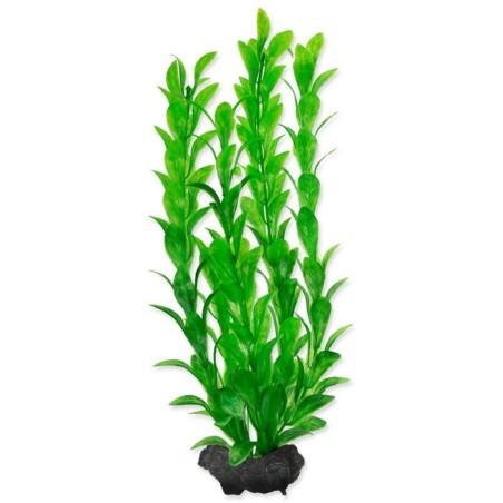 Tetra Pianta Decorativa in Plastica Modello Hygrophila varie misure Tetra Pianta Decorativa in Plastica Modello Hygrophila varie misure