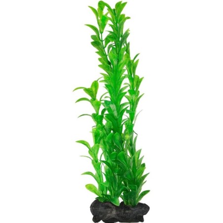 Tetra Pianta Decorativa in Plastica Modello Hygrophila varie misure Tetra Pianta Decorativa in Plastica Modello Hygrophila varie misure