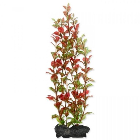 Tetra Pianta Decorativa in Plastica Modello Red Ludwigia (Ludwigia Repens) varie misure Tetra Pianta Decorativa in Plastica Modello Red Ludwigia (Ludwigia Repens) varie misure
