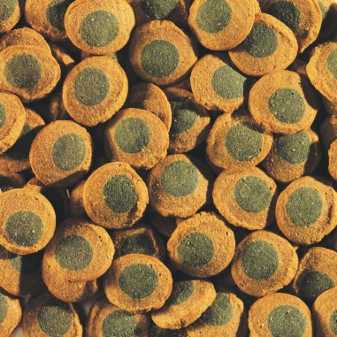 Tetra Pleco Spirulina Wafers 250ml - Mangime di base per tutti i grandi pesci erbivori che si nutrono sul fondo