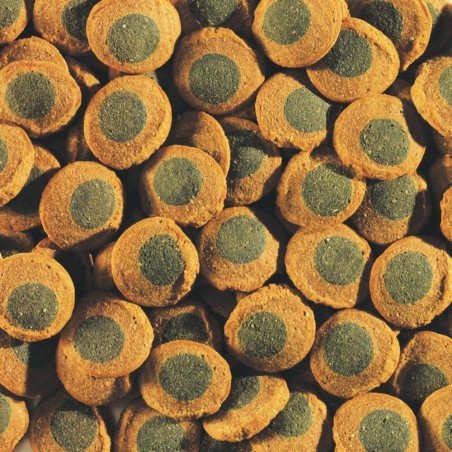 Tetra Pleco Spirulina Wafers 250ml - Mangime di base per tutti i grandi pesci erbivori che si nutrono sul fondo