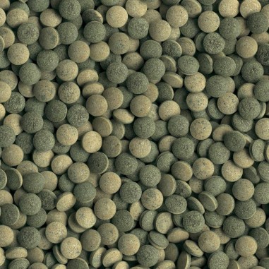 Tetra Pleco Tablets 120 Compresse ad Alta Percentuale di Spirulina - Indicato per Pesci da Fondo Vegetariani