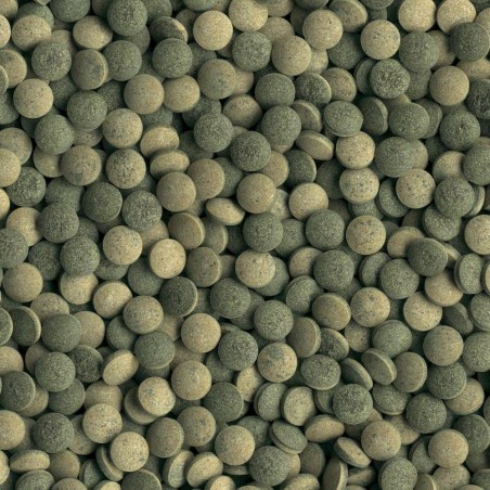 Tetra Pleco Tablets 120 Compresse ad Alta Percentuale di Spirulina - Indicato per Pesci da Fondo Vegetariani Tetra Pleco Tablets 120 Compresse ad Alta Percentuale di Spirulina - Indicato per Pesci da Fondo Vegetariani