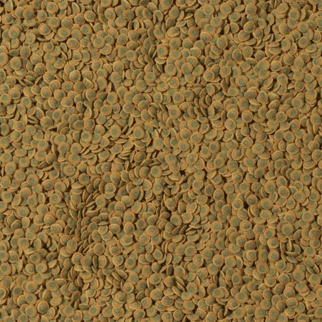 Tetra Pleco VeggieWafer Tetra Pleco VeggieWafer