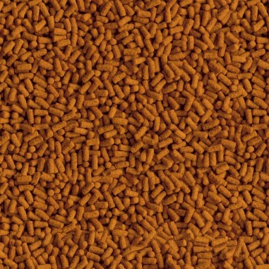 Tetra Pond Koi Colour & Growth Sticks 1 litro