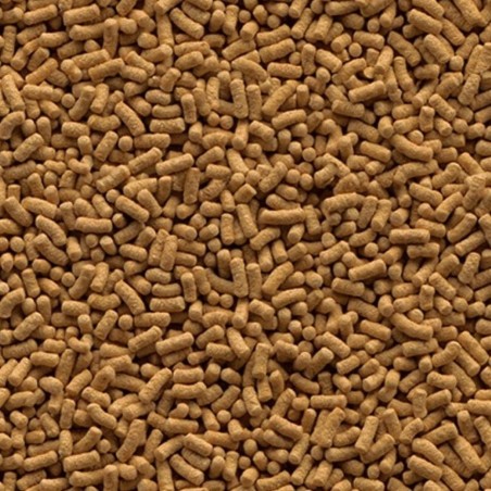 Tetra Pond WheatGerm Sticks 1 litro Tetra Pond WheatGerm Sticks 1 litro