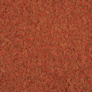 Tetra Pro Color