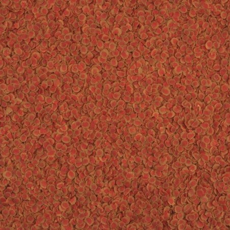 Tetra Pro Color