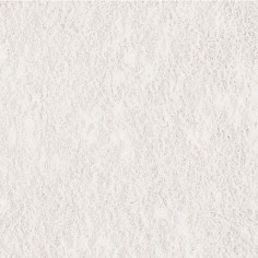 Tetra Reptocal 100ml/60gr - Integratore in polvere di calcio per Rettili 2