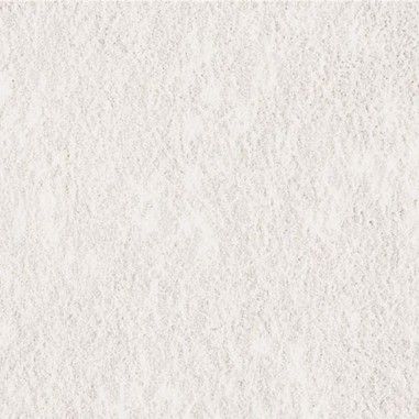 Tetra Reptocal 100ml/60gr - Integratore in polvere di calcio per Rettili