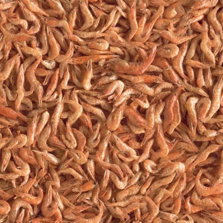 Tetra ReptoDelica Shrimps 250ml - Ghiottoneria a base di gamberetti per tutte le tartatughe d'acqua