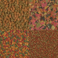 Tetra Selection - Mix di Mangimi per Pesci Tropicali 2