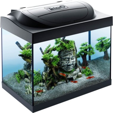 Tetra Starter Line LED 30L cm41x30x25h - acquario completo per un rapido avvio