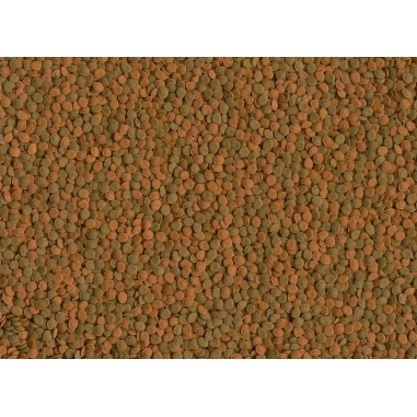 Tetra Wafer Mini Mix 100ml - Alimento Base per tutti i pesci da Fondo e Crostacei