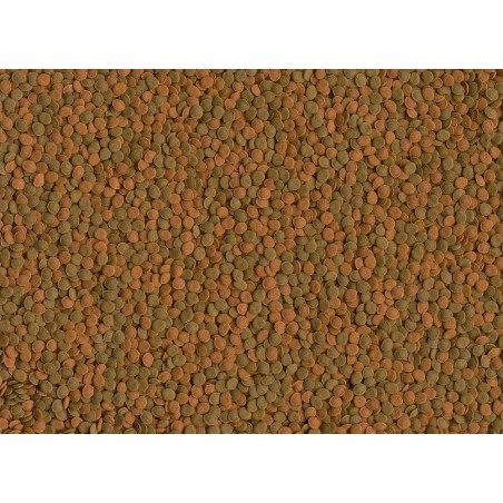 Tetra Wafer Mini Mix 100ml - Alimento Base per tutti i pesci da Fondo e Crostacei Tetra Wafer Mini Mix 100ml - Alimento Base per tutti i pesci da Fondo e Crostacei