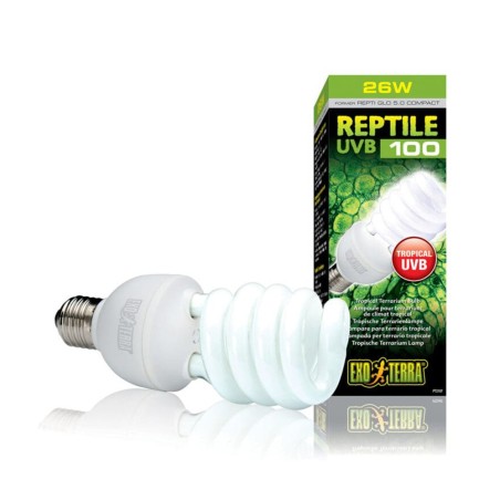 ExoTerra PT-2187 Repti Glo Compact 5.0 25 W UVB100 Attacco E27 - Lampada per terrari tropicali