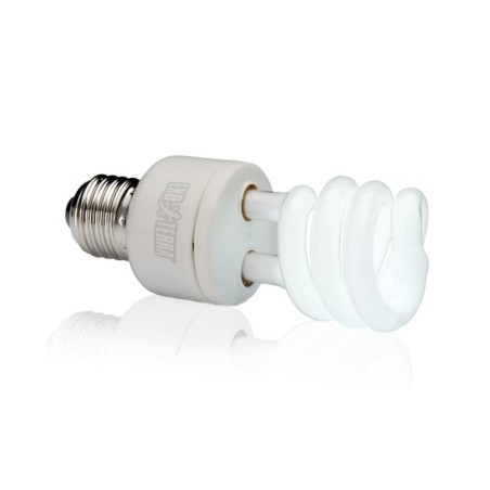 ExoTerra Repti Glo Compact 5.0 13 W UVB100 Attacco E27 - Lampada per terrari tropicali ExoTerra Repti Glo Compact 5.0 13 W UVB100 Attacco E27 - Lampada per terrari tropicali