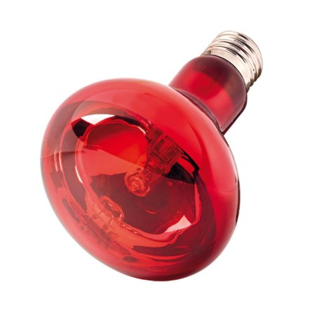 Hobby Infrared Light - Lampada a Raggi Infrarossi