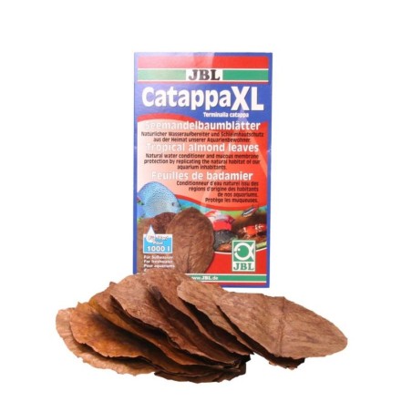 JBL Catappa XL - foglie di mandorlo tropicale formato XL per acquario