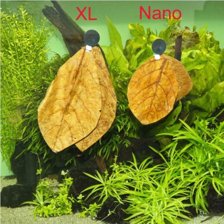 JBL Catappa XL - foglie di mandorlo tropicale formato XL per acquario