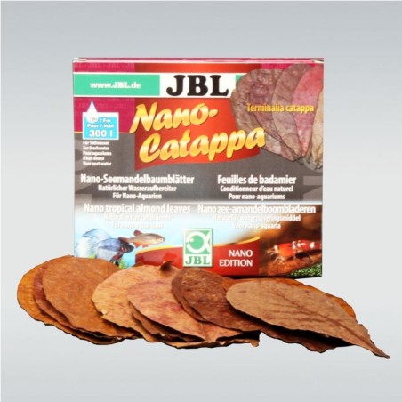 JBL Nano Catappa – Foglie di mandorlo indiano - 10 Foglie JBL Nano Catappa – Foglie di mandorlo indiano - 10 Foglie