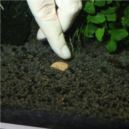 JBL ProFlora 7+13 Kugeln Balls - nutrimento in sfere per le radici delle piante acquatiche JBL ProFlora 7+13 Kugeln Balls - nutrimento in sfere per le radici delle piante acquatiche