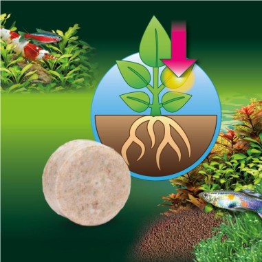 JBL ProFlora Ferropol Tabs 30pz - fertilizzante in compresse