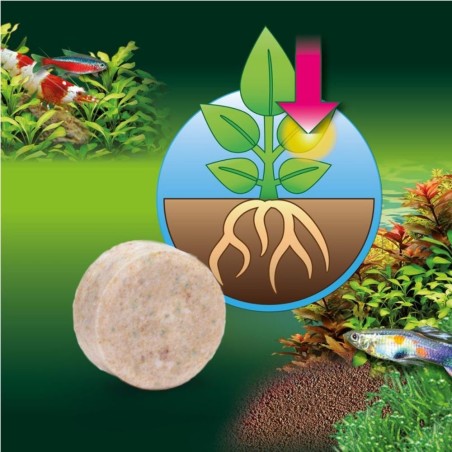 JBL ProFlora Ferropol Tabs 30pz - fertilizzante in compresse JBL ProFlora Ferropol Tabs 30pz - fertilizzante in compresse