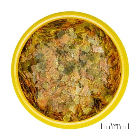 JBL ProNovo Bel Flakes S 100ml - Mangime base in fiocchi per tutti i pesci ornamentali da 3 a 10cm