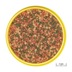 JBL ProNovo Bel Grano M 250ml - Mangime base in granuli per tutti i pesci ornamentali da 8 a 20cm 2