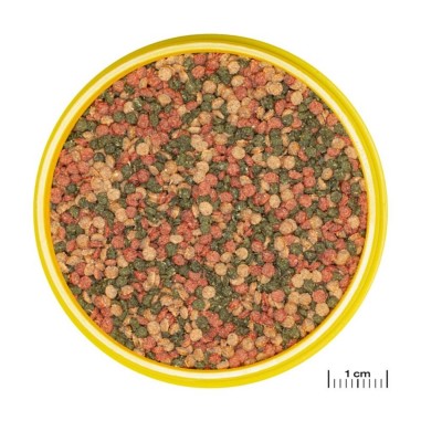 JBL ProNovo Bel Grano M 250ml - Mangime base in granuli per tutti i pesci ornamentali da 8 a 20cm