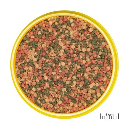JBL ProNovo Bel Grano M 250ml - Mangime base in granuli per tutti i pesci ornamentali da 8 a 20cm