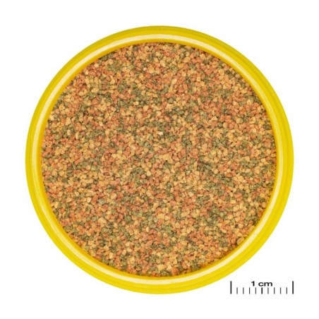 JBL ProNovo Bel Grano XS 100ml - Mangime base in granuli per tutti i pesci ornamentali da 3 a 5cm
