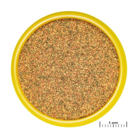 JBL ProNovo Bel Grano XXS 100ml - Mangime base in granuli per tutti i pesci ornamentali da 1 a 3cm JBL ProNovo Bel Grano XXS 100ml - Mangime base in granuli per tutti i pesci ornamentali da 1 a 3cm