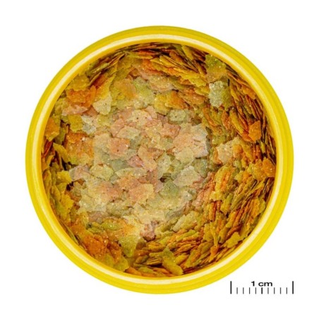 JBL ProNovo Betta Flakes S 100ml - fioccato di base per Betta da 3 a 10cm