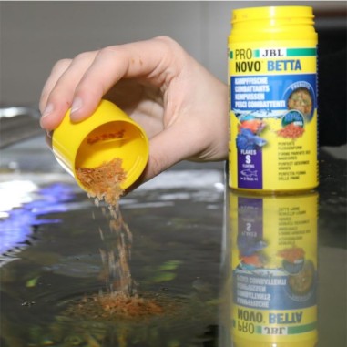 JBL ProNovo Betta Flakes S 100ml - fioccato di base per Betta da 3 a 10cm