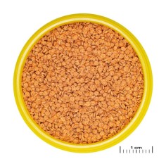 JBL ProNovo Betta Grano S 100ml - granulato di base per Betta da 3 a 10cm 2
