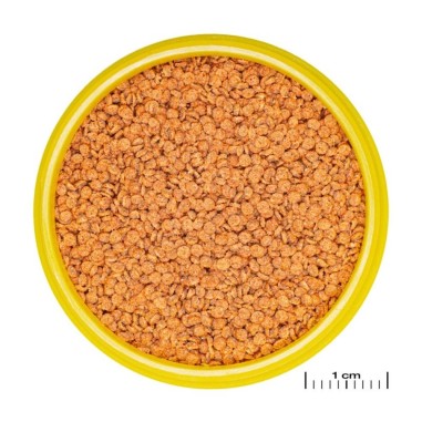JBL ProNovo Betta Grano S 100ml - granulato di base per Betta da 3 a 10cm