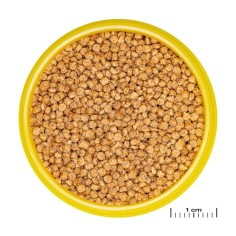 JBL ProNovo Cichlid Grano M - Mangime base in granuli per Ciclidi da 8 a 20cm 2