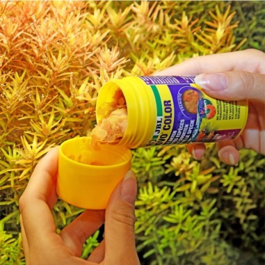 JBL ProNovo Color Flakes M - fioccato per colori brillanti per tutti i pesci tropicali da 8 a 20cm