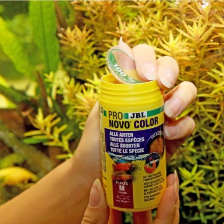 JBL ProNovo Color Flakes M - fioccato per colori brillanti per tutti i pesci tropicali da 8 a 20cm JBL ProNovo Color Flakes M - fioccato per colori brillanti per tutti i pesci tropicali da 8 a 20cm
