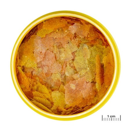 JBL ProNovo Color Flakes M - fioccato per colori brillanti per tutti i pesci tropicali da 8 a 20cm JBL ProNovo Color Flakes M - fioccato per colori brillanti per tutti i pesci tropicali da 8 a 20cm