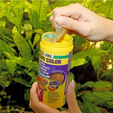JBL ProNovo Color Flakes M - fioccato per colori brillanti per tutti i pesci tropicali da 8 a 20cm